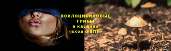 гашик Балабаново