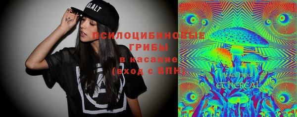 прущие грибы Армянск