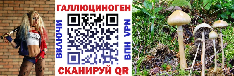 Псилоцибиновые грибы мицелий  Бокситогорск 
